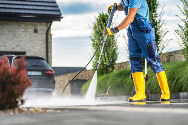 Best Driveway Pressure Washing  in Web, AL